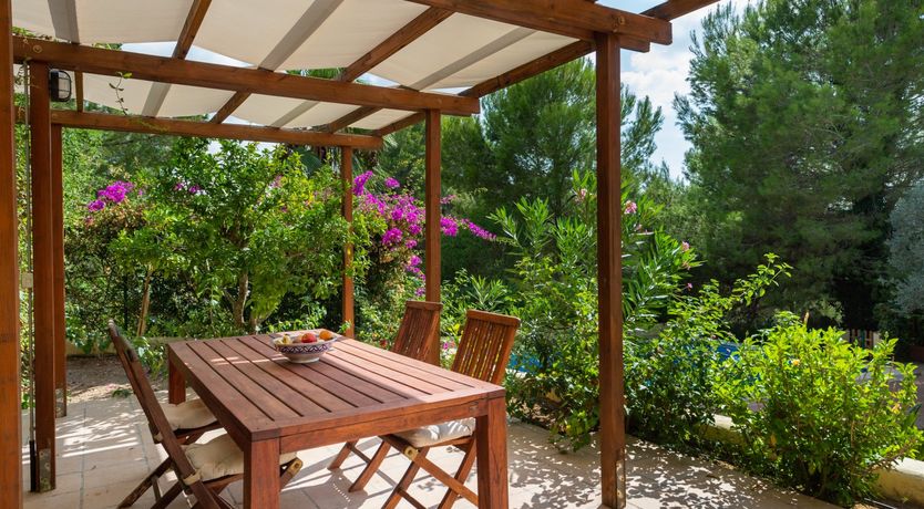 Photo of The Blossoming Orchard