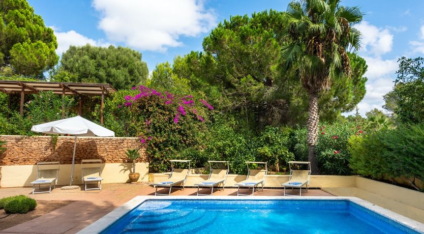 Photo of The Blossoming Orchard