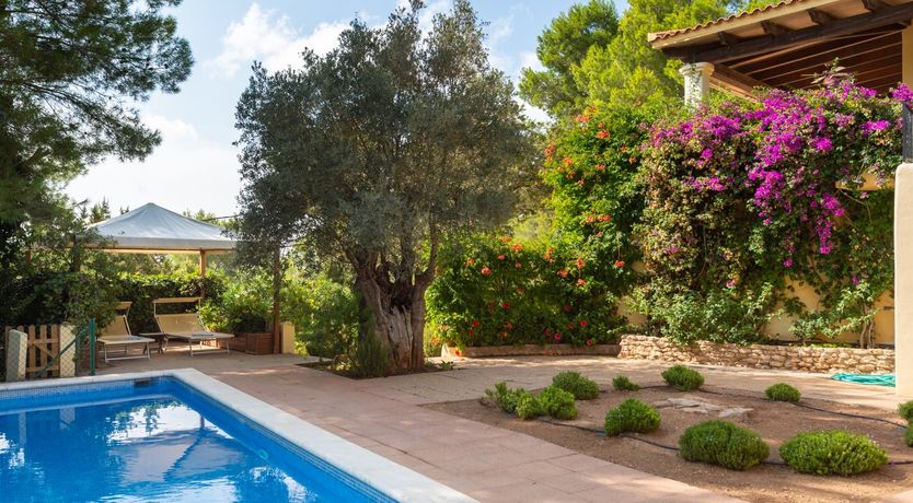 Photo of The Blossoming Orchard