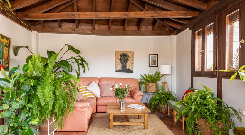 Photo of Path to the Palace