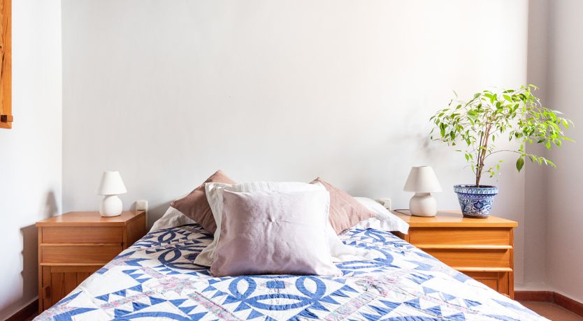 Photo of Path to the Palace