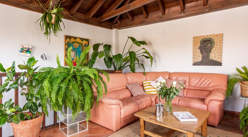 Photo of Path to the Palace