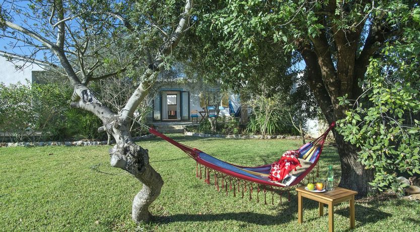 Photo of Among the Hilltops