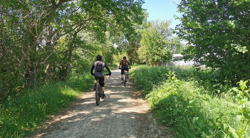 Photo of Lake Mirrors