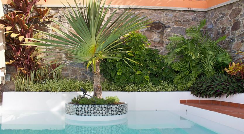 Photo of Burst of Colour