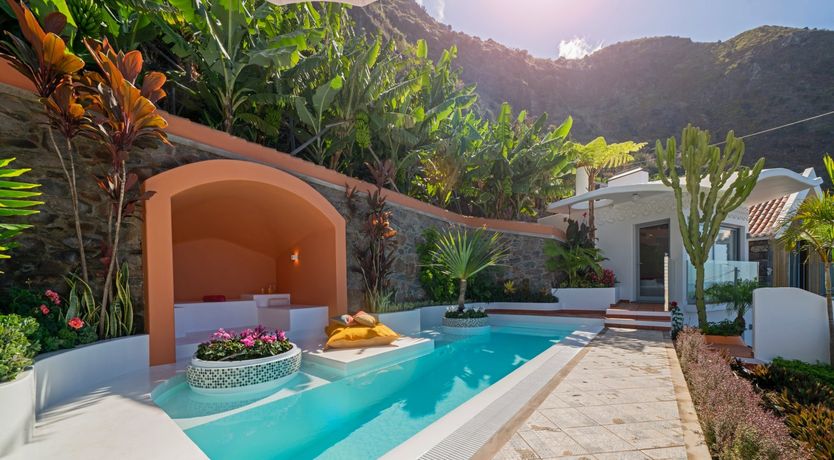 Photo of Burst of Colour