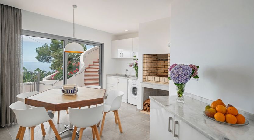 Photo of Burst of Colour