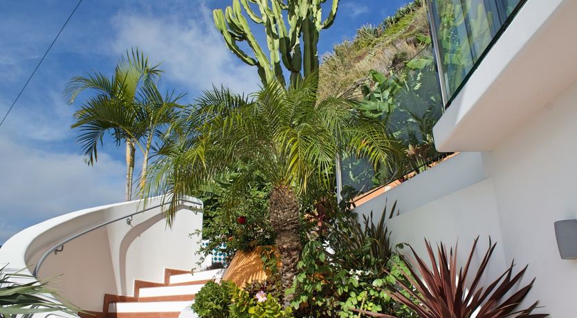 Photo of Burst of Colour