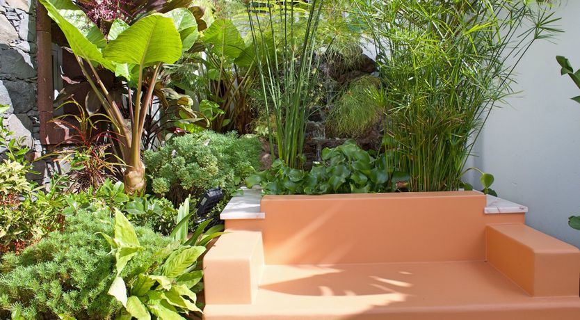 Photo of Burst of Colour