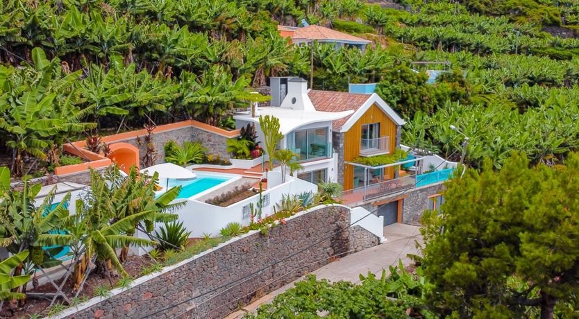 Photo of Burst of Colour