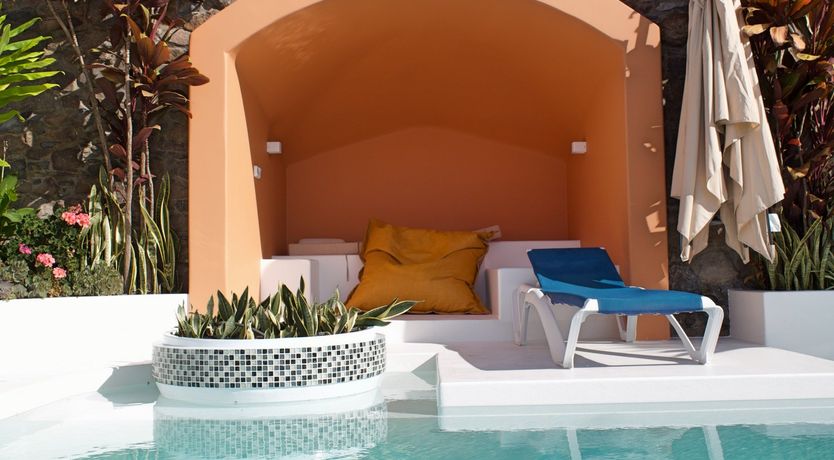 Photo of Burst of Colour