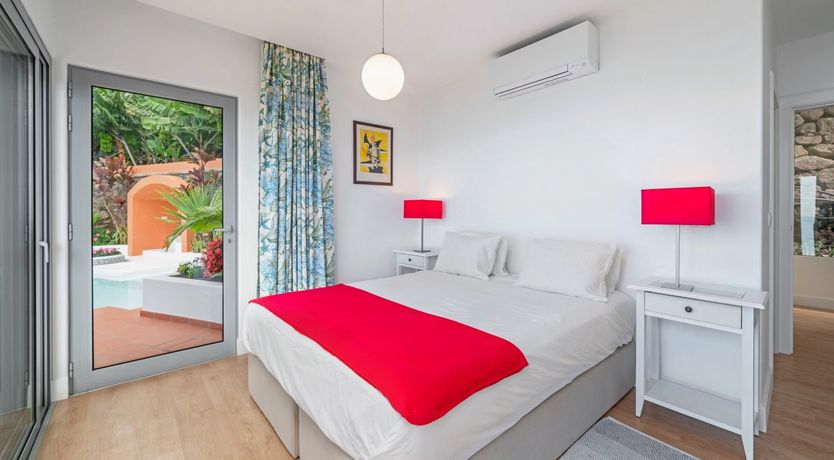 Photo of Burst of Colour