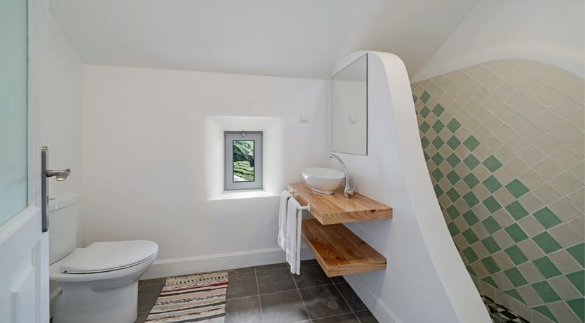 Photo of Burst of Colour