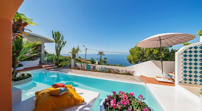 Photo of Burst of Colour