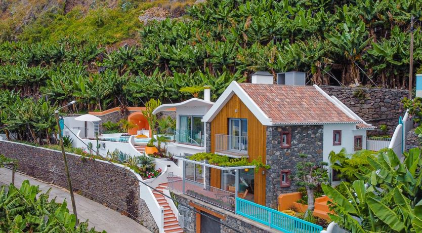 Photo of Burst of Colour