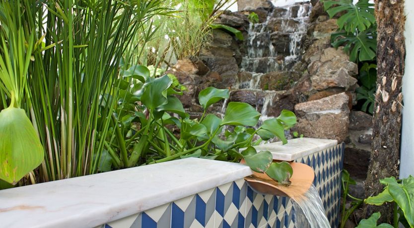 Photo of Burst of Colour