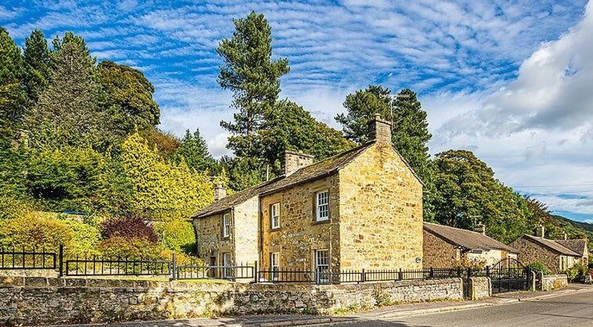 Photo of Cherry on the Top