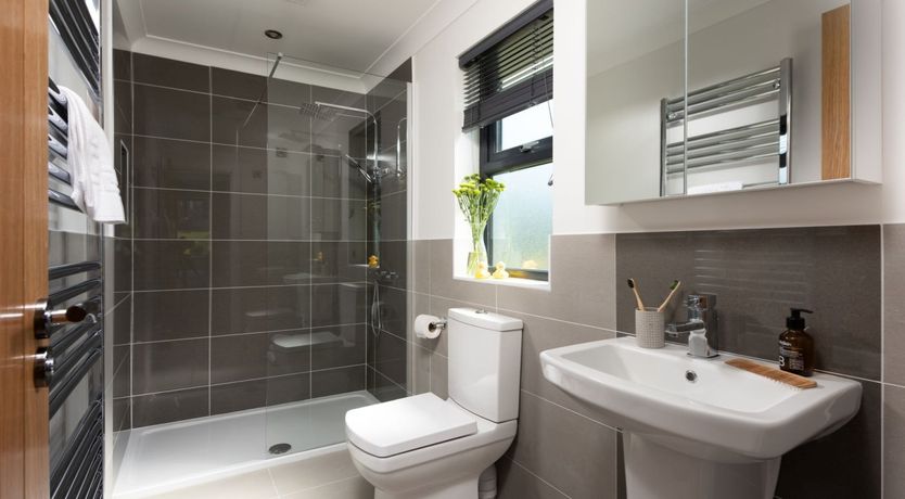 Photo of A Devon Star