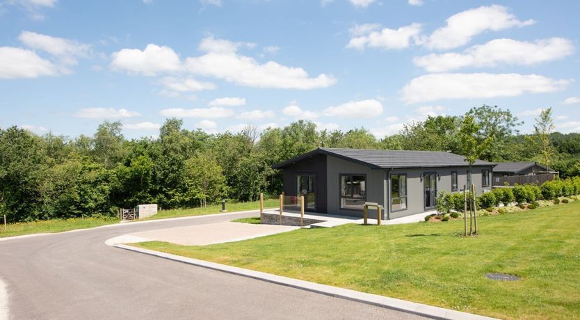 Photo of A Devon Star