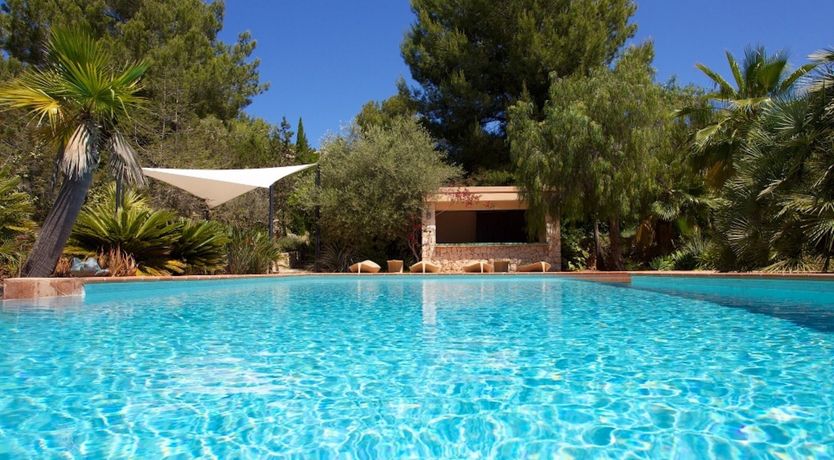 Photo of Subtle Beauty