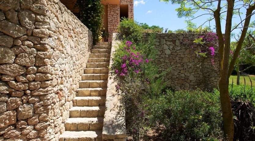 Photo of Subtle Beauty