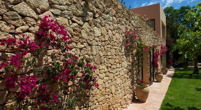 Photo of Subtle Beauty