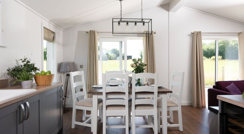 Photo of Tick Tock, Forget Me Not