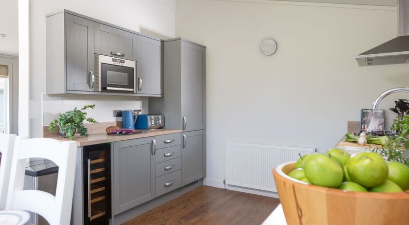 Photo of Tick Tock, Forget Me Not