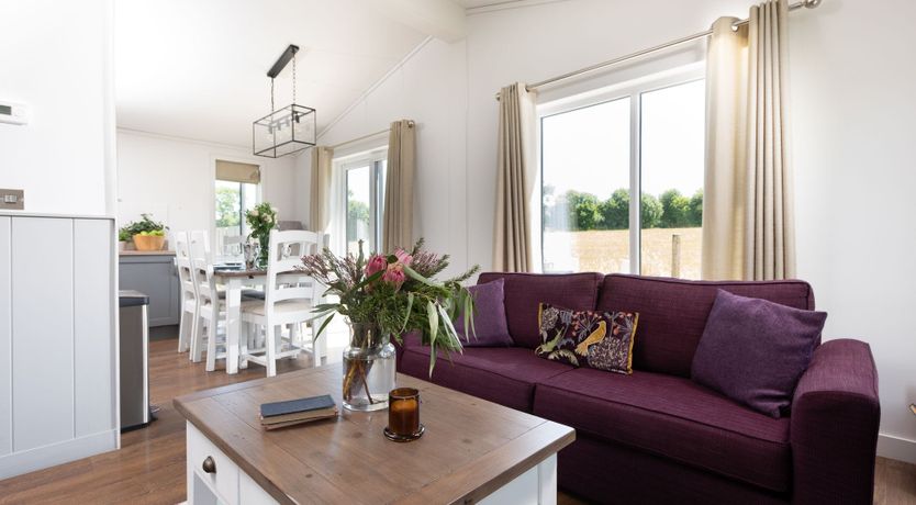 Photo of Tick Tock, Forget Me Not