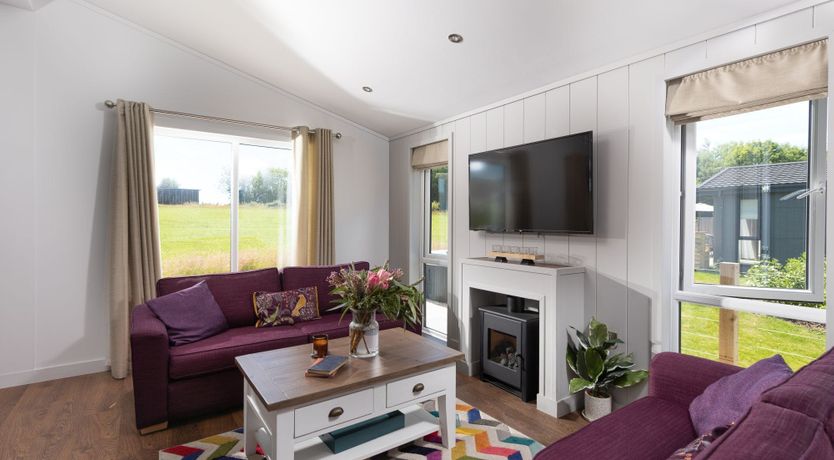 Photo of Tick Tock, Forget Me Not