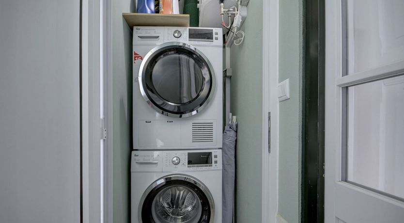 Photo of Yellow Canary