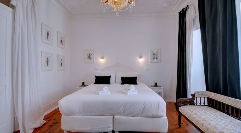 Photo of Yellow Canary