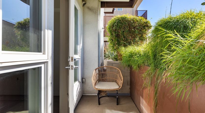 Photo of Wilshire Wildling