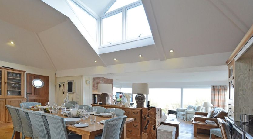 Photo of The Seashell Harvester