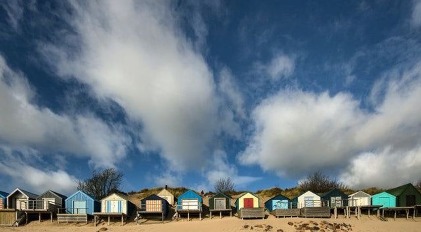 Photo of The Seashell Harvester