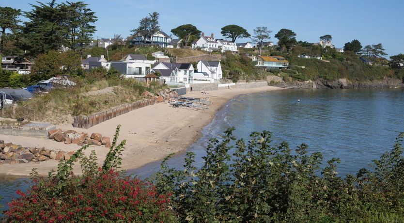 Photo of The Seashell Harvester