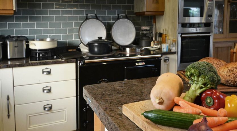 Photo of The Seashell Harvester