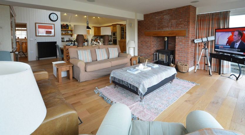 Photo of The Seashell Harvester