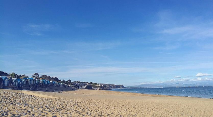 Photo of The Seashell Harvester