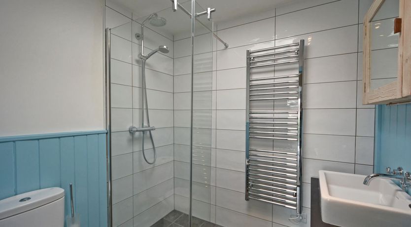 Photo of The Seashell Harvester