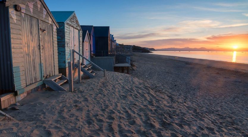 Photo of The Seashell Harvester