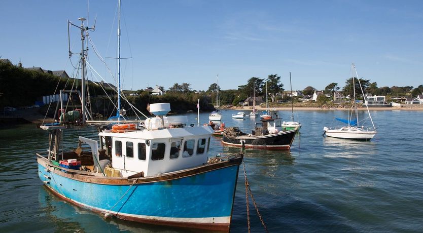 Photo of The Seashell Harvester