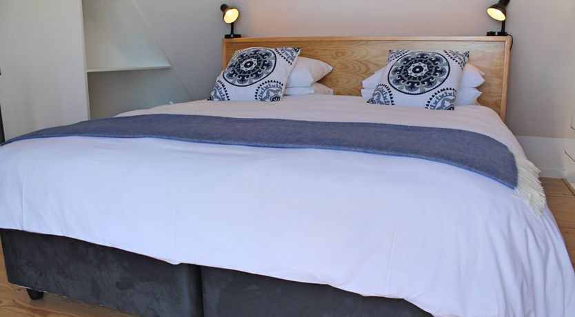 Photo of Hydrangea Hills