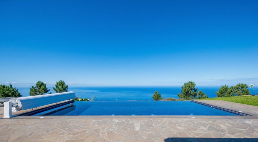 Photo of Hydrangea Hills