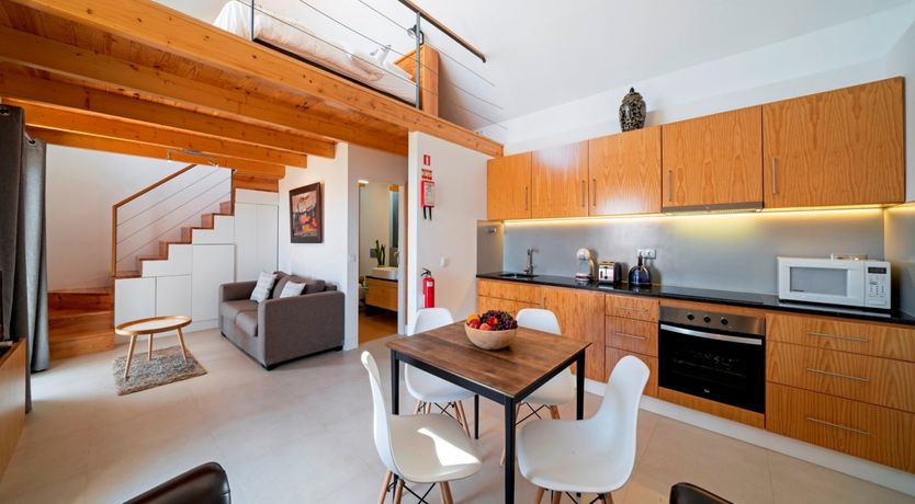 Photo of Hydrangea Hills