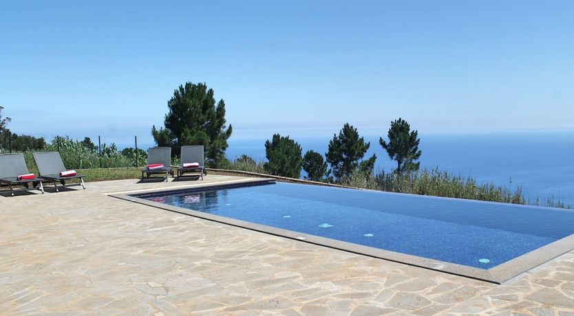 Photo of Hydrangea Hills