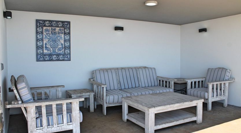 Photo of Hydrangea Hills