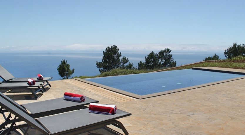 Photo of Hydrangea Hills