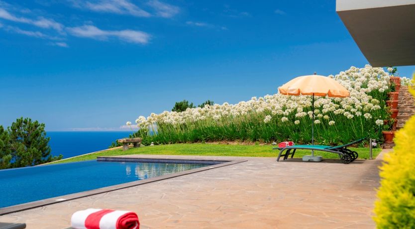 Photo of Hydrangea Hills