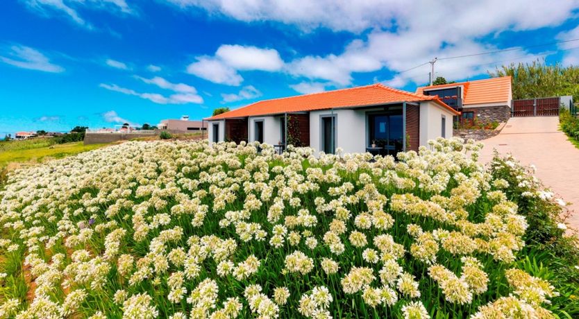 Photo of Hydrangea Hills
